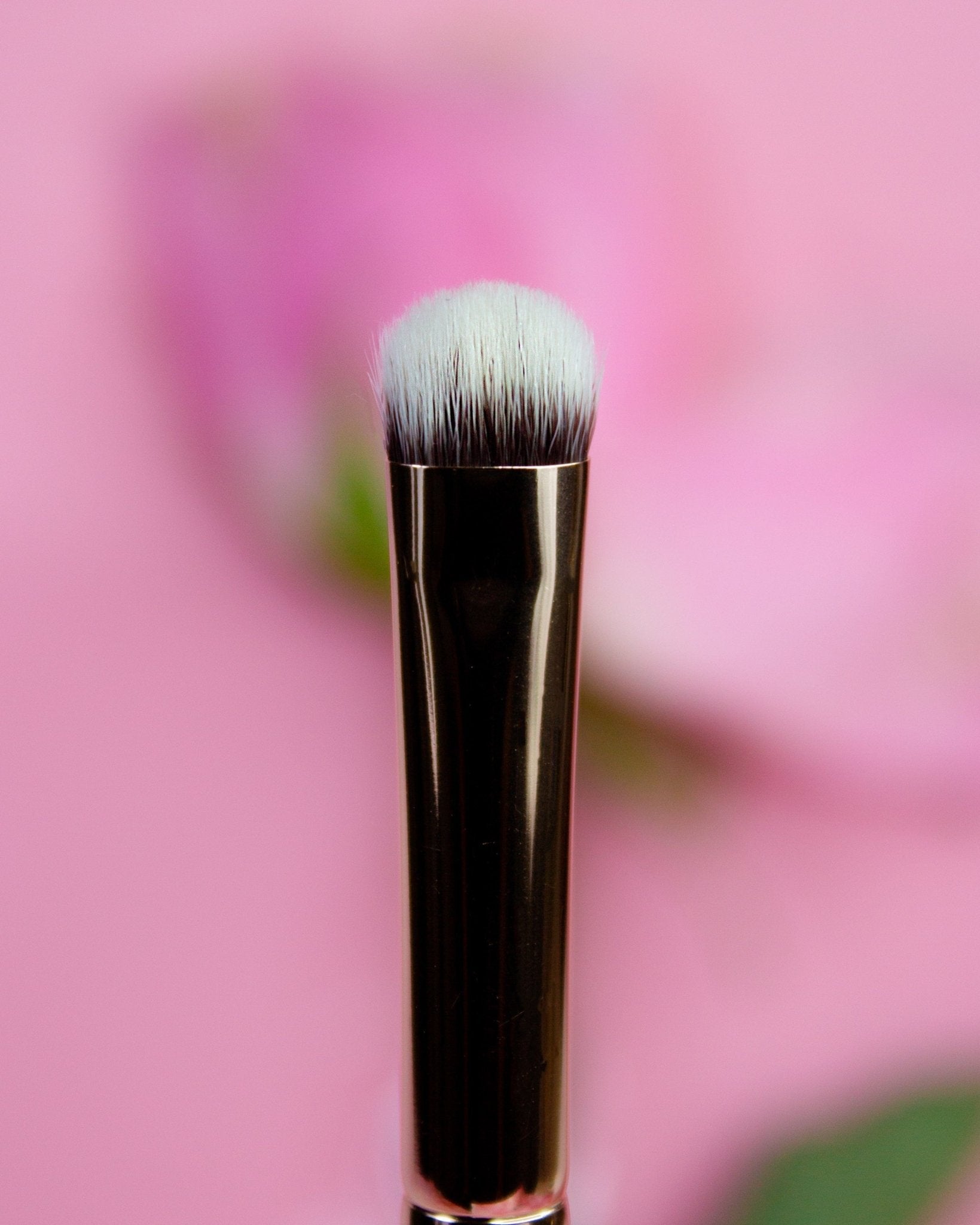 All Essential Makeup Brushes - Karla Cosmetics