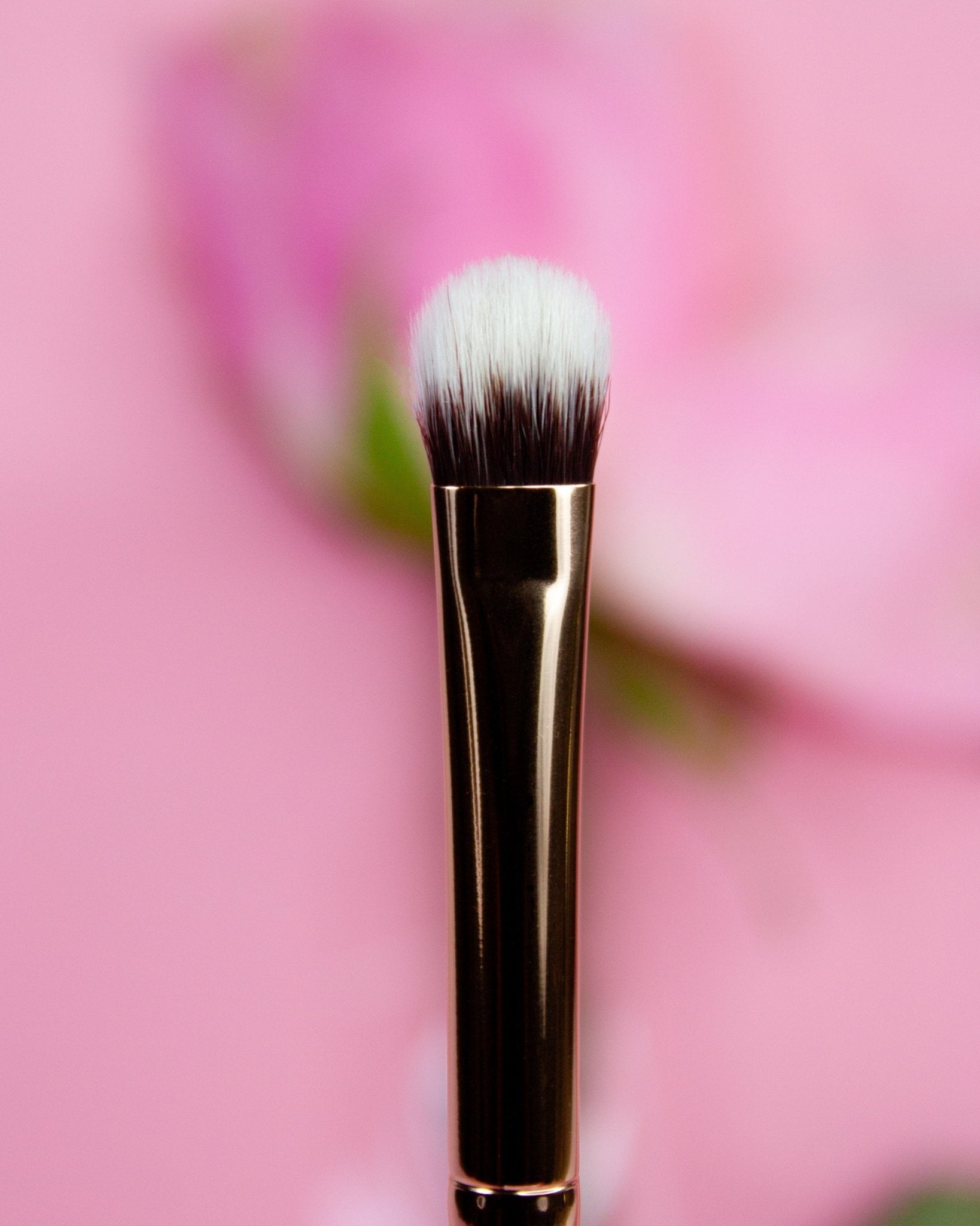 All Essential Makeup Brushes - Karla Cosmetics