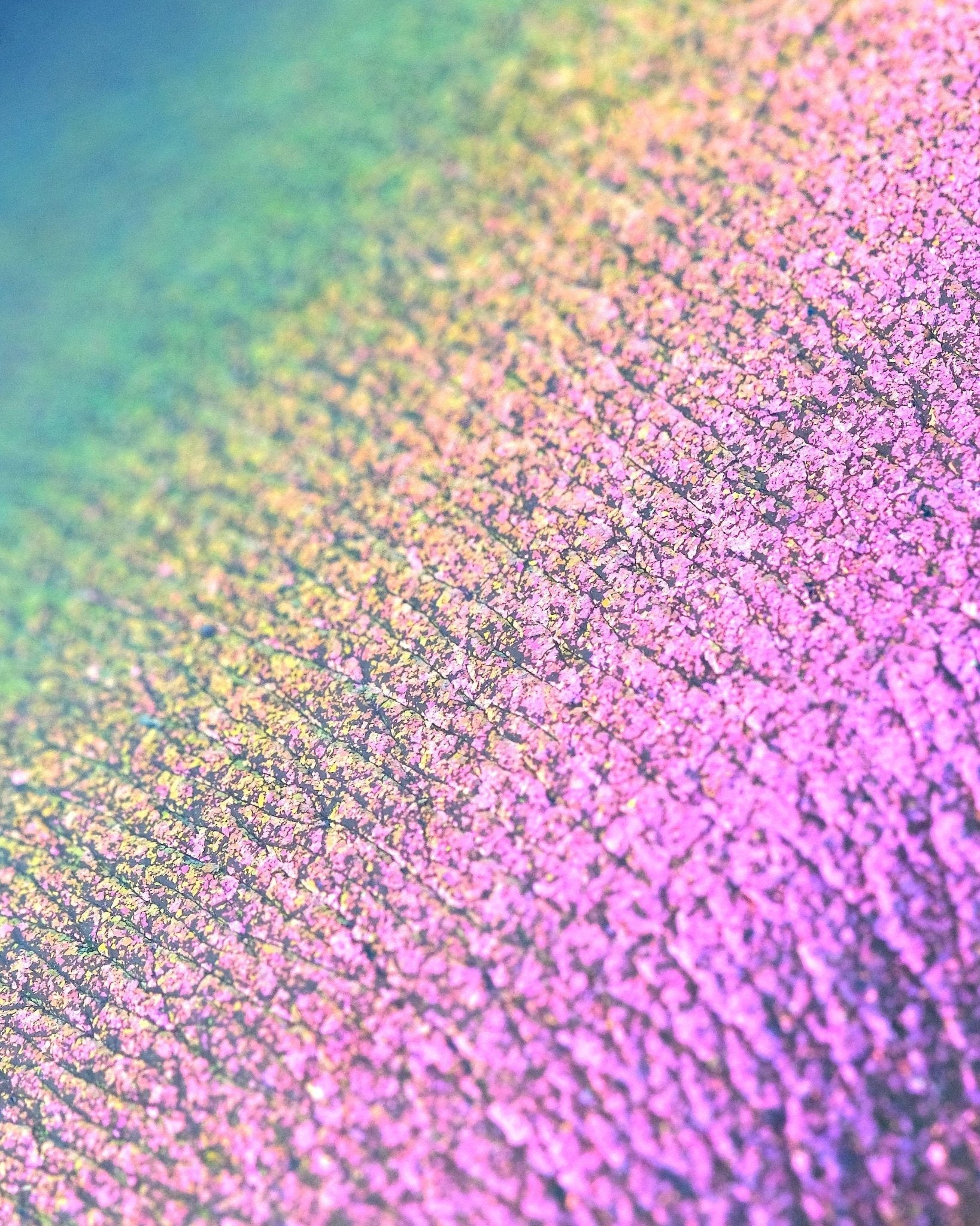 All Opal Moonstone Loose Eyeshadows - Karla Cosmetics