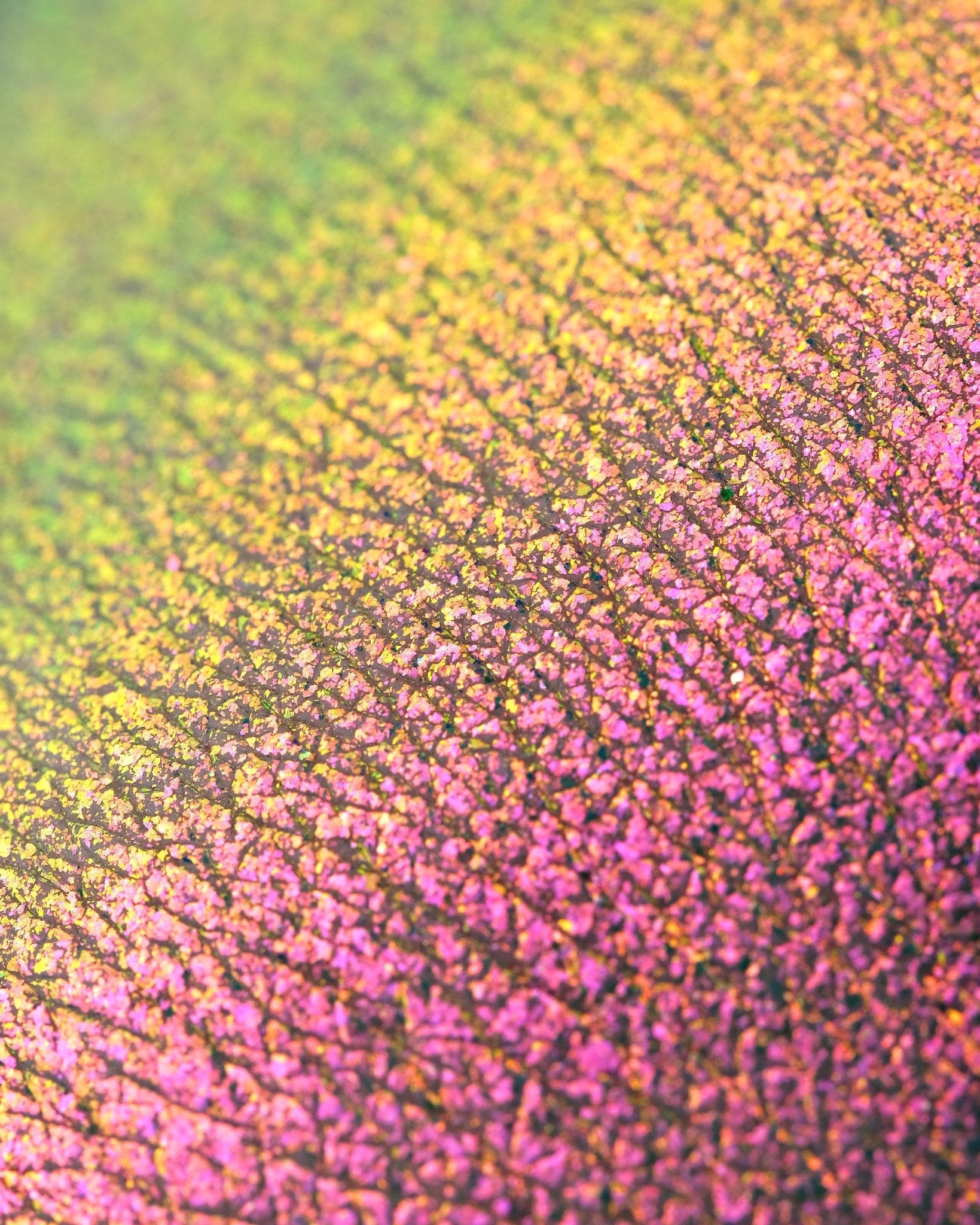 All Opal Moonstone Loose Eyeshadows - Karla Cosmetics