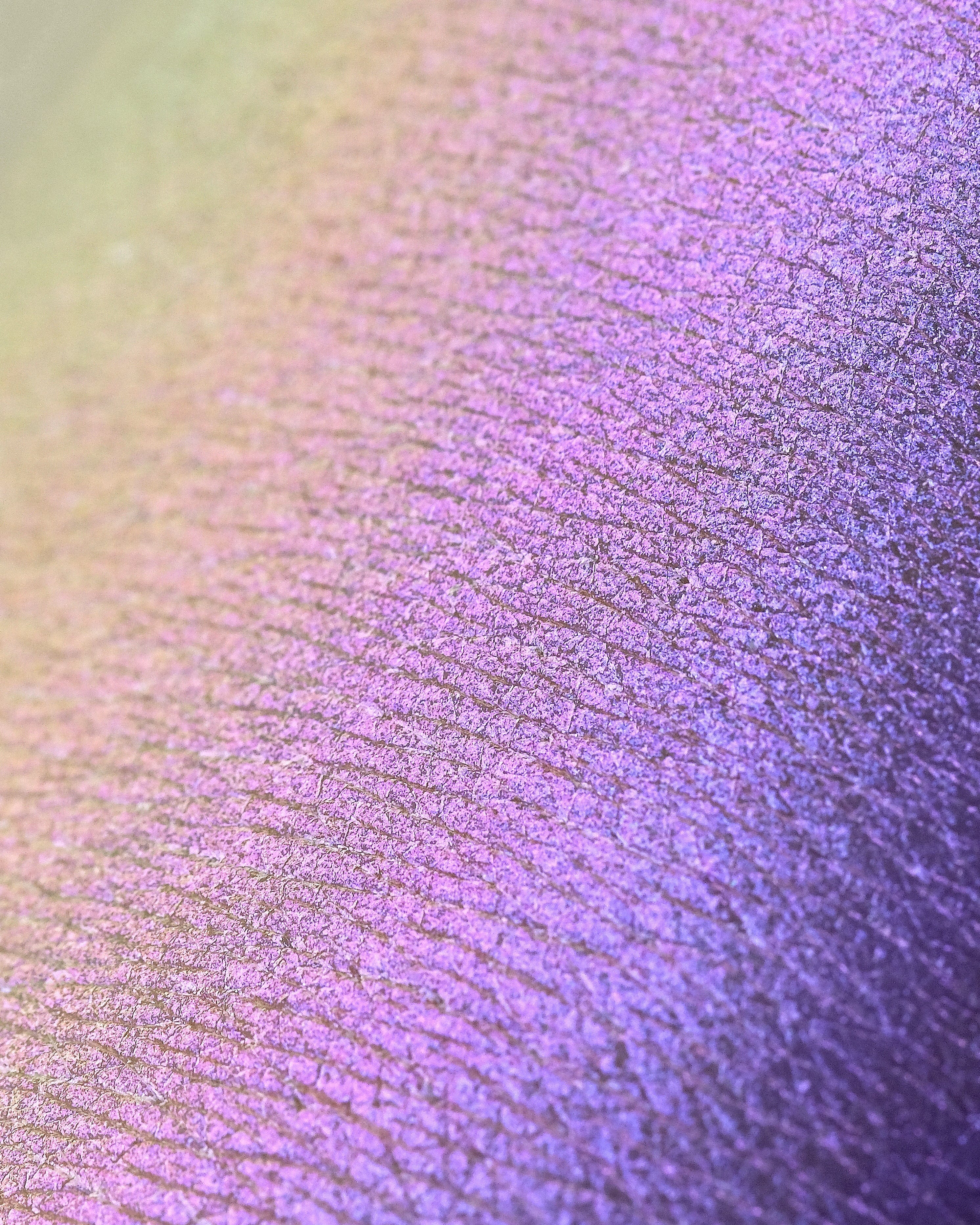 Opal Multichrome Loose Eyeshadows