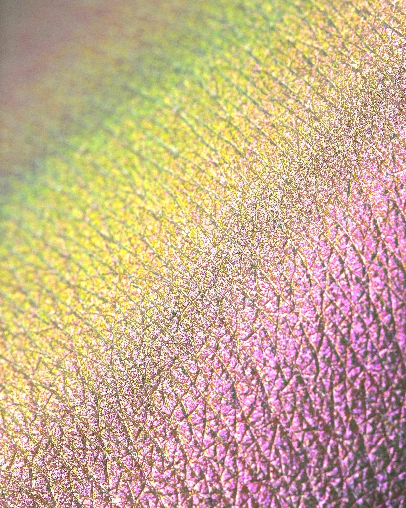 All Opal Multichrome Loose Eyeshadows - Karla Cosmetics