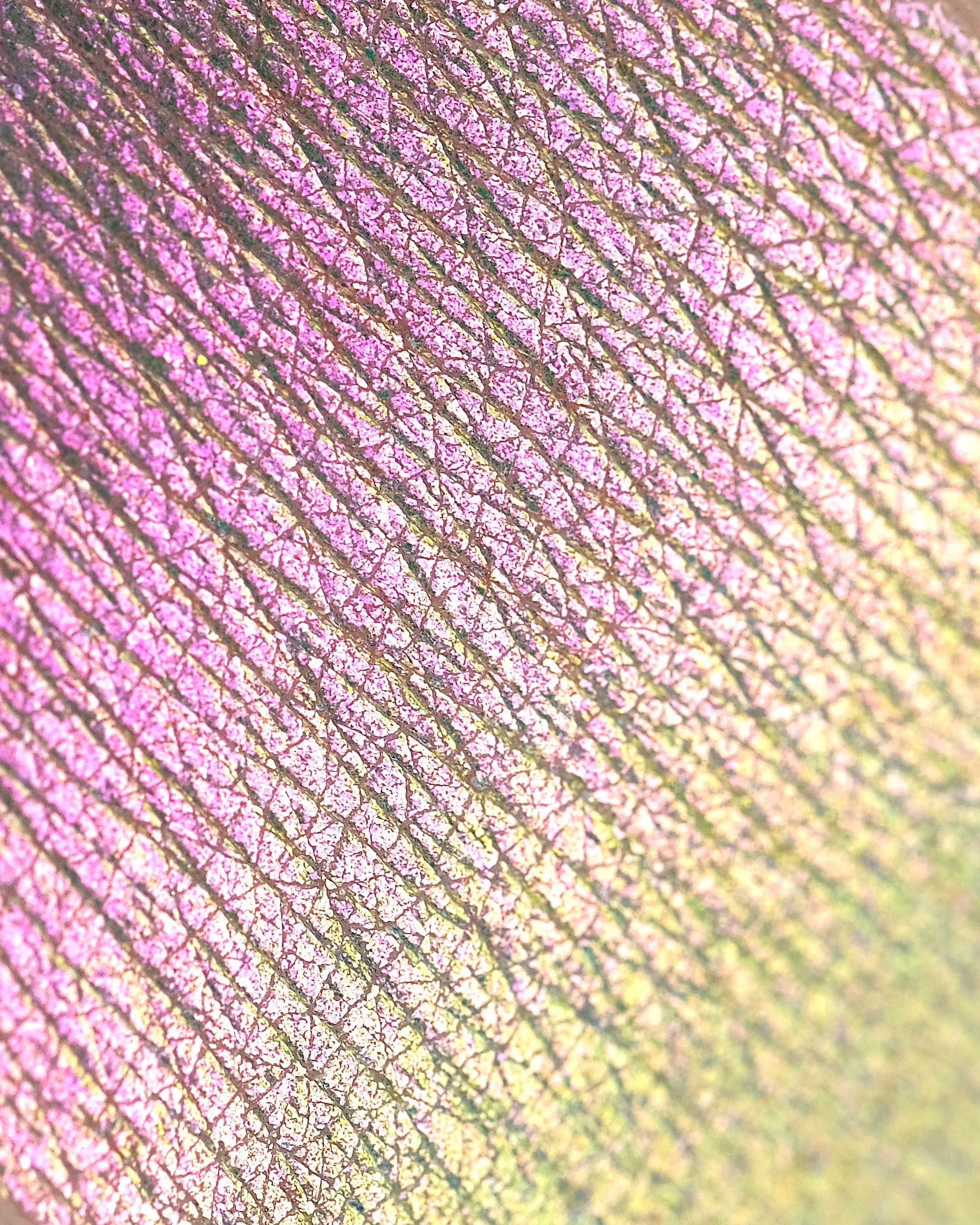 Rockabye Baby Opal Multichrome Loose Eyeshadow - Karla Cosmetics