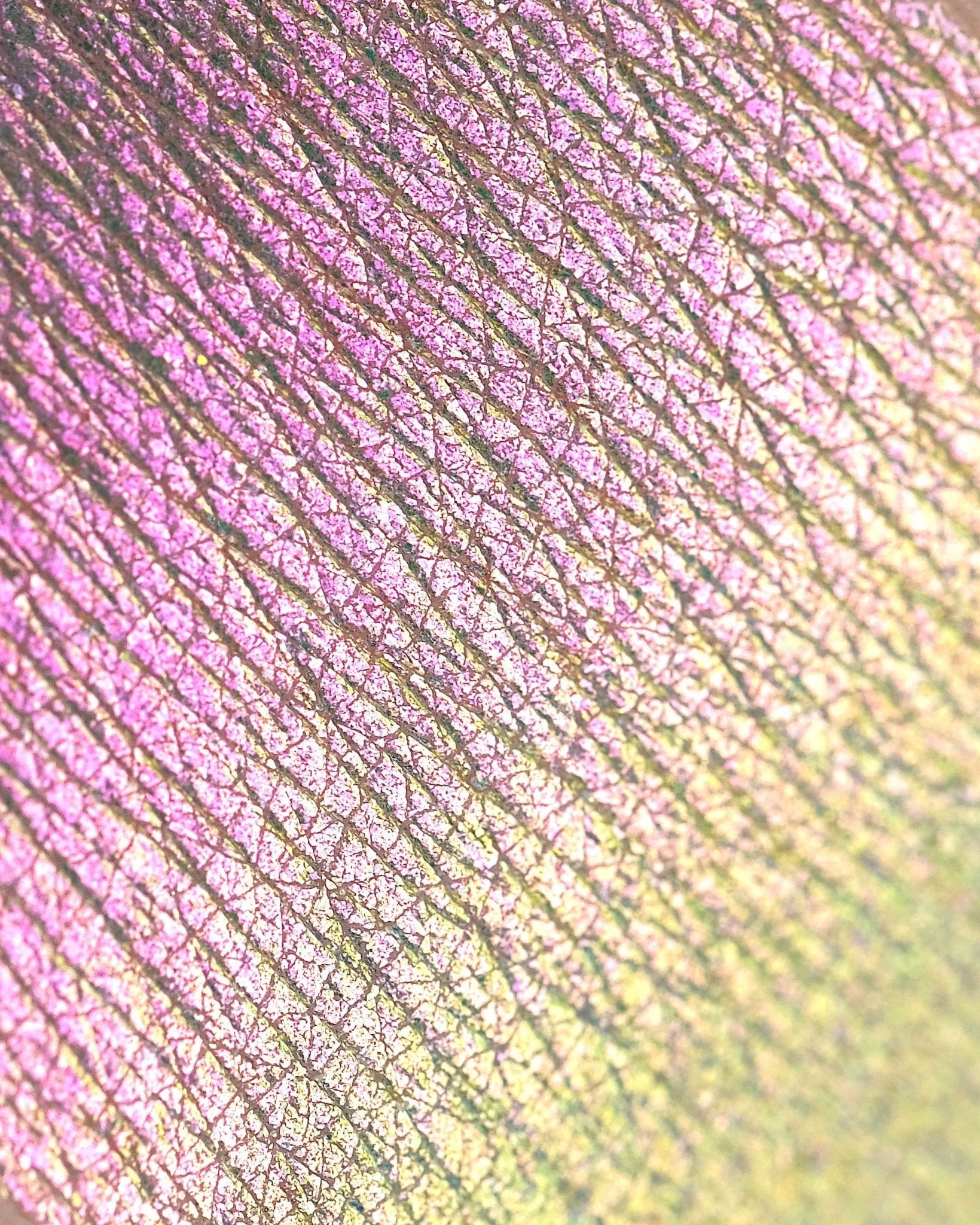 Rockabye Baby Opal Multichrome Pressed Eyeshadow - Karla Cosmetics