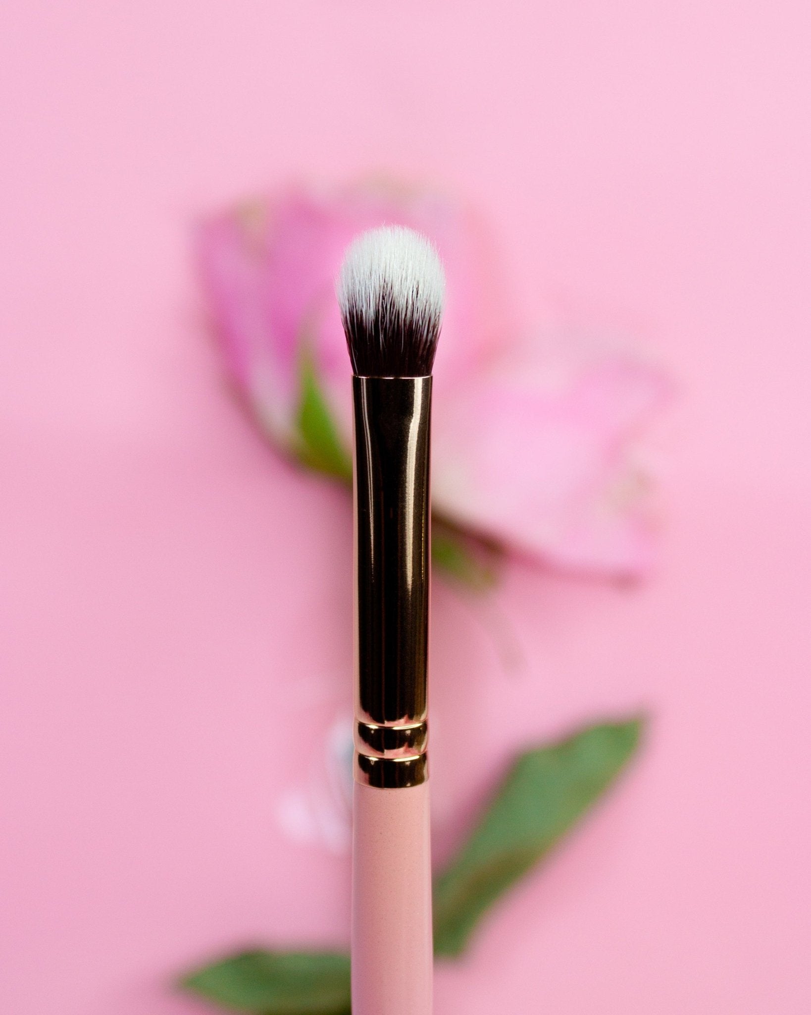 All Essential Makeup Brushes - Karla Cosmetics