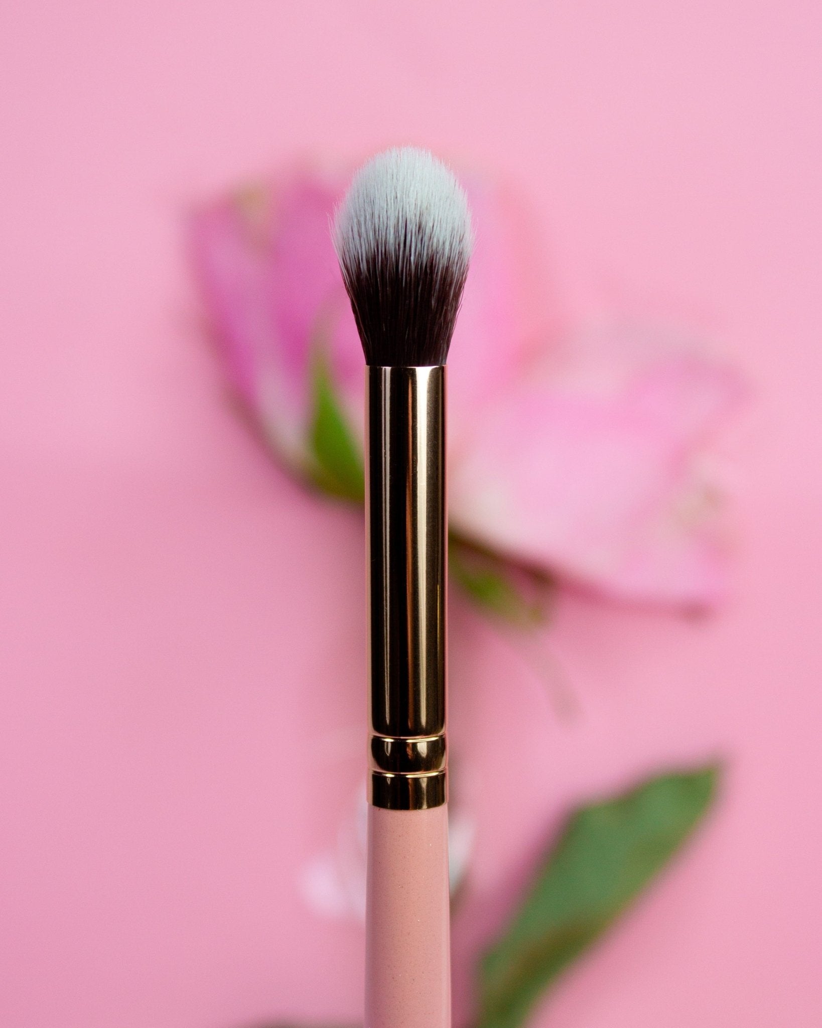 All Essential Makeup Brushes - Karla Cosmetics
