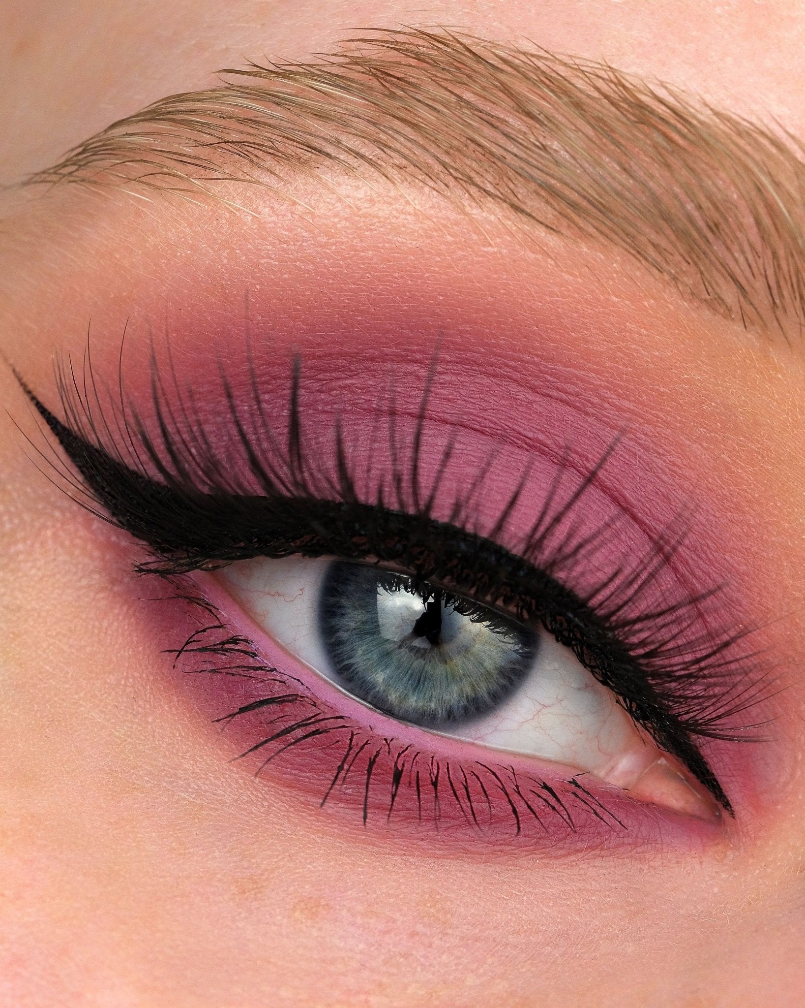 All Essential Makeup Brushes - Karla Cosmetics